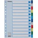 Esselte Binder holders A4 PP plastic 12 cards (10K217D)
