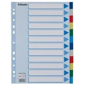 Esselte Binder holders A4 PP plastic 12 cards (10K217D)