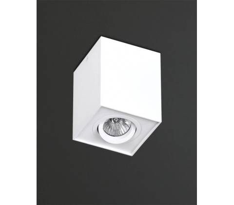 MaxLight C0070