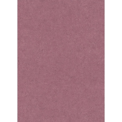 DIMEX WPE-902188 Vliesová tapeta na stenu, rozmery 0,53 x 10,05 m