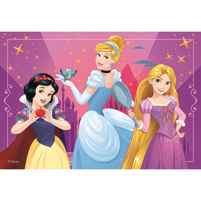 Dino Odvážné princezny 24 dielov