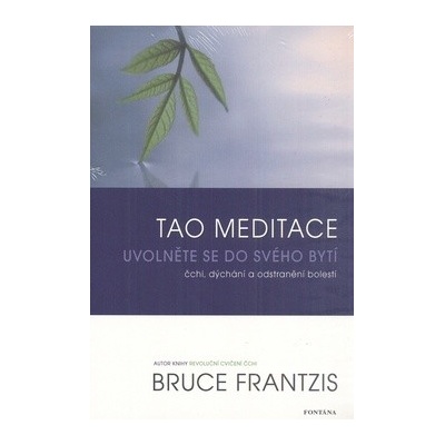 Tao meditace