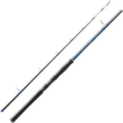 Aquantic Epoxy Tip 2,4 m 80-240 g 2 díly