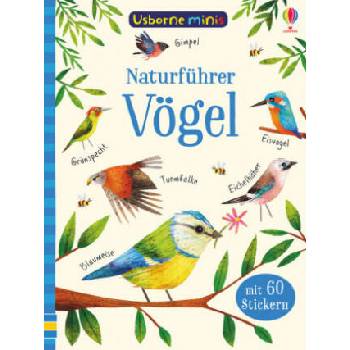 Image 1 of Naturführer: Vögel | Kirsteen Robson, Sam Smith, Stephanie Fizer Coleman