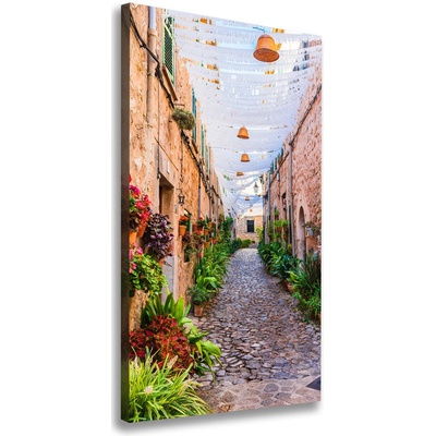 Vertikálny foto obraz na plátne Mallorka Španielsko 50x100 cm