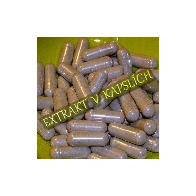 ViNaturae Gotu Kola 600 mg 40 kapslí