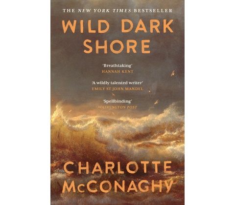 Wild Dark Shore