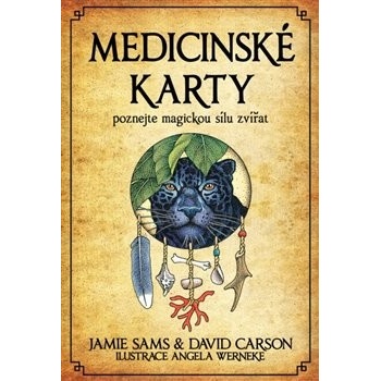 Medicinské karty