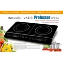 Professor IV306