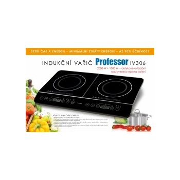Professor IV306