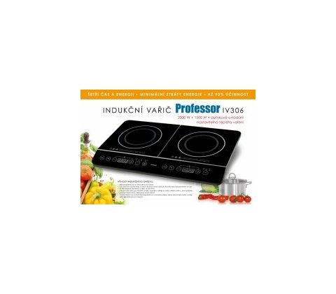 Professor IV306