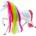 LEAN Toys Figurine Large Fairytale Horse Rainbow Mane Colorful Decorations White