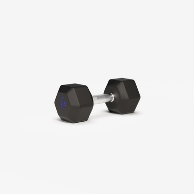 CORENGTH Dumbell šestihranná 12,5 kg