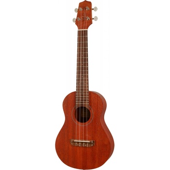 Takamine EGU-C1