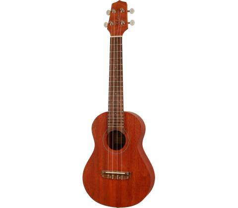 Takamine EGU-C1