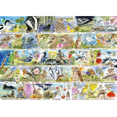 GIBSONS RSPB Kouzlo jarní přírody 1000 dílků