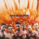 Rammstein - Herzeleid CD