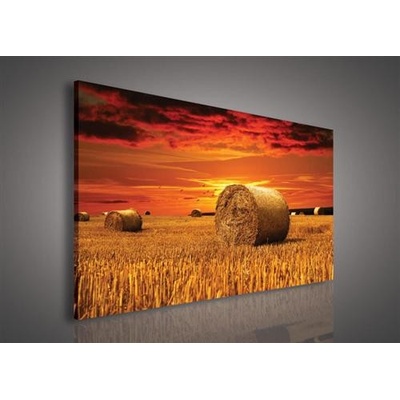 Obraz na plátne, rozmer 100 x 75 cm, západ sInka, MPOL TRADE PP225O1
