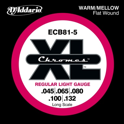 D'addario ECB81-5
