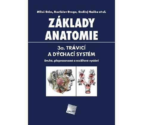 Základy anatomie