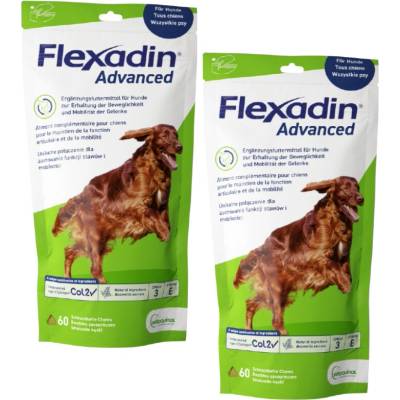 Flexadin Advanced pre psy 2 x 60 tbl