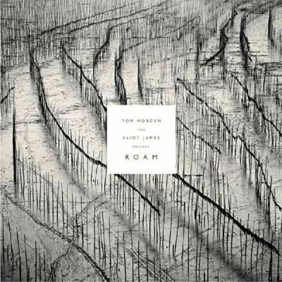 Tom Hobden & Eliot James Present: Roam CD