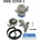 SKF VKMC019181