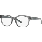 Giorgio Armani AX3098 8242