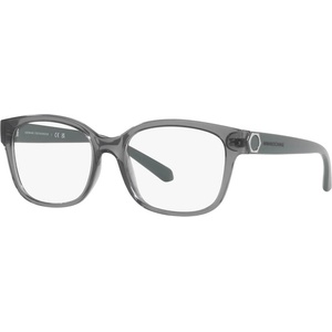 Giorgio Armani AX3098 8242