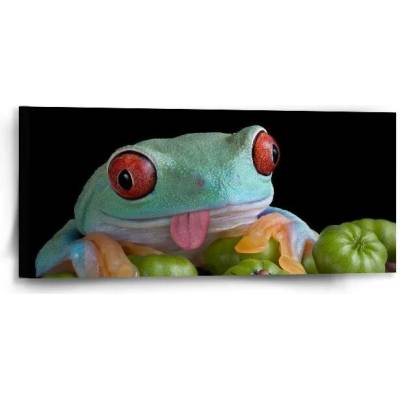 Sablio Obraz Veselá žába - 110x50 cm