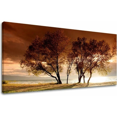Obraz na stěnu PANORAMA STROMY - 70x140 cm