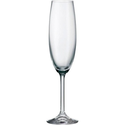 Crystalite Bohemia COLIBRI POHÁR NA ŠAMPANSKÉ 6 x 220 ml