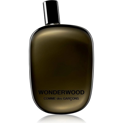 Comme des Garcons Wonderwood parfémovaná voda pánská 100 ml