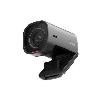 Snom V420