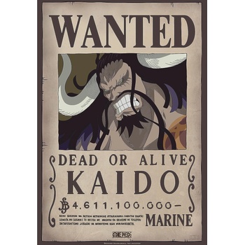 GB eye Мини плакат GB eye Animation: One Piece - Kaido Wanted Poster (ABYDCO787)