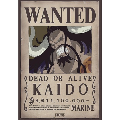 GB eye Мини плакат GB eye Animation: One Piece - Kaido Wanted Poster (ABYDCO787)