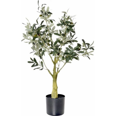 OLIVOVNÍK V PLAST.KVETINÁČI ŠED./ZEL. 75CM