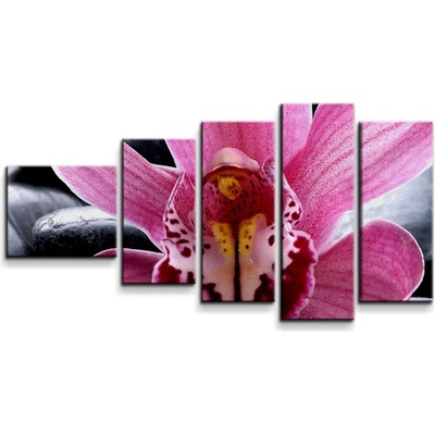 Sablio Obraz - 5-dílný Ružová orchidea - 100x60 cm
