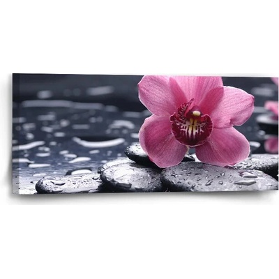 Sablio Obraz Orchidea - 110x50 cm