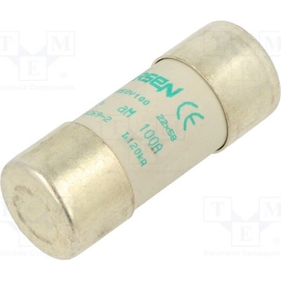 SCHNEIDER ELECTRIC DF2FA100 Pojistka: tavná; aM; 100A; 500VAC; keramická; 22x58mm
