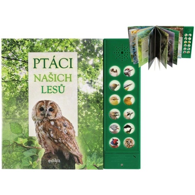 Ptáci našich lesů
