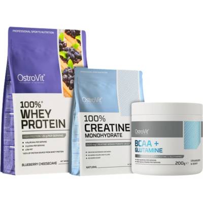 OstroVit 100% Whey Protein | + Creatine + BCAA + Glutamine FREE