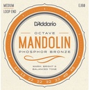 D'Addario EJ80