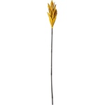 Bloomingville Жълта декорация във формата на палмово листо Afina, височина 93 cm Olise - Bloomingville (82050609)