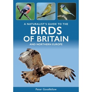 A Naturalist's Guide to the Birds of Britain and Northern Europe | Peter Goodfellow (ISBN: 9781913679903)