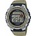 Casio WV-200R-5AEF