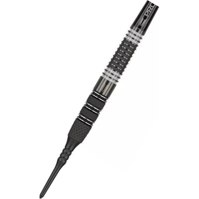 Target - darts Raymond van Barneveld - 95% Echo - 20g