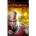 Sony God of War Chains of Olympus (PSP)