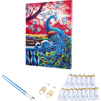 RealG RC-K-263 Malování podle čísel s rámem barevný páv 30 x 40 cm