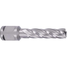 ABSE N-HS-W19-0120050